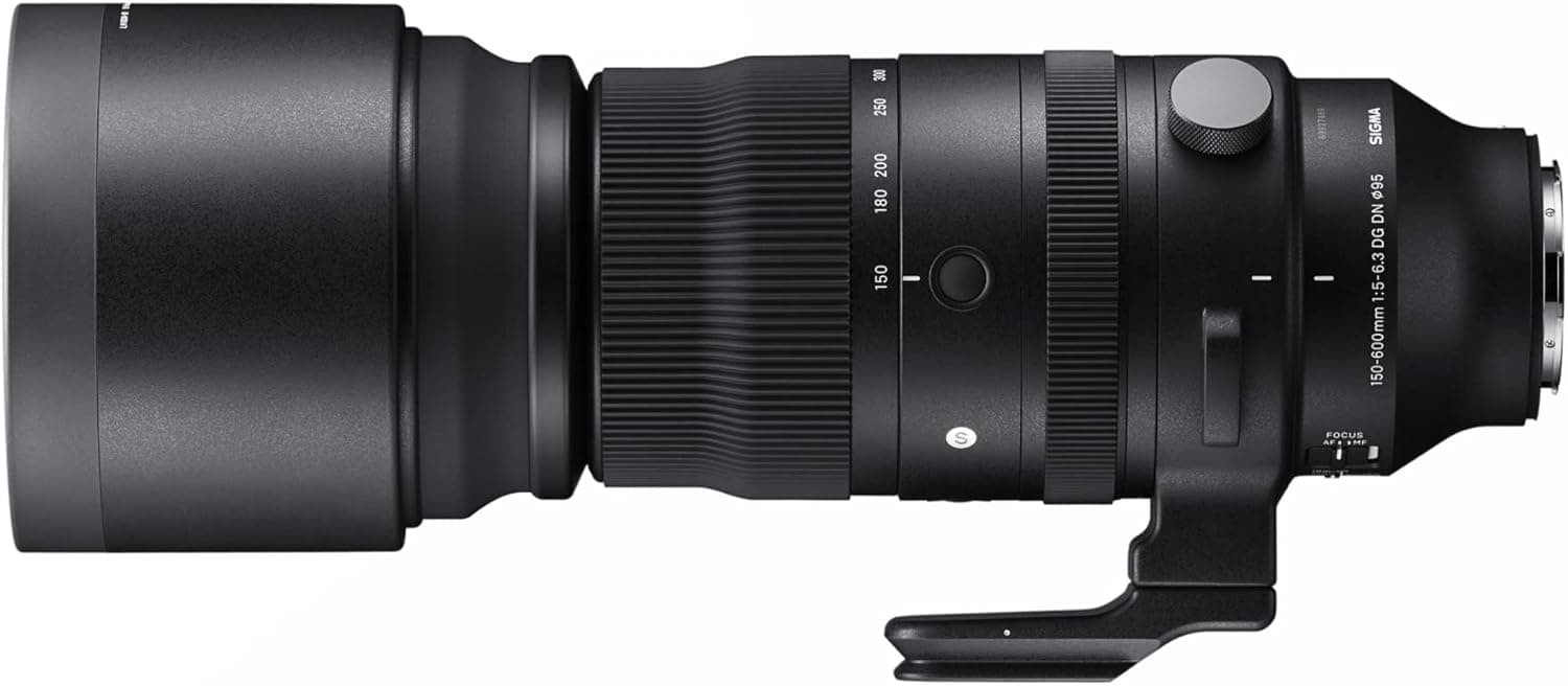 Sigma 150-600mm DG DN (E)