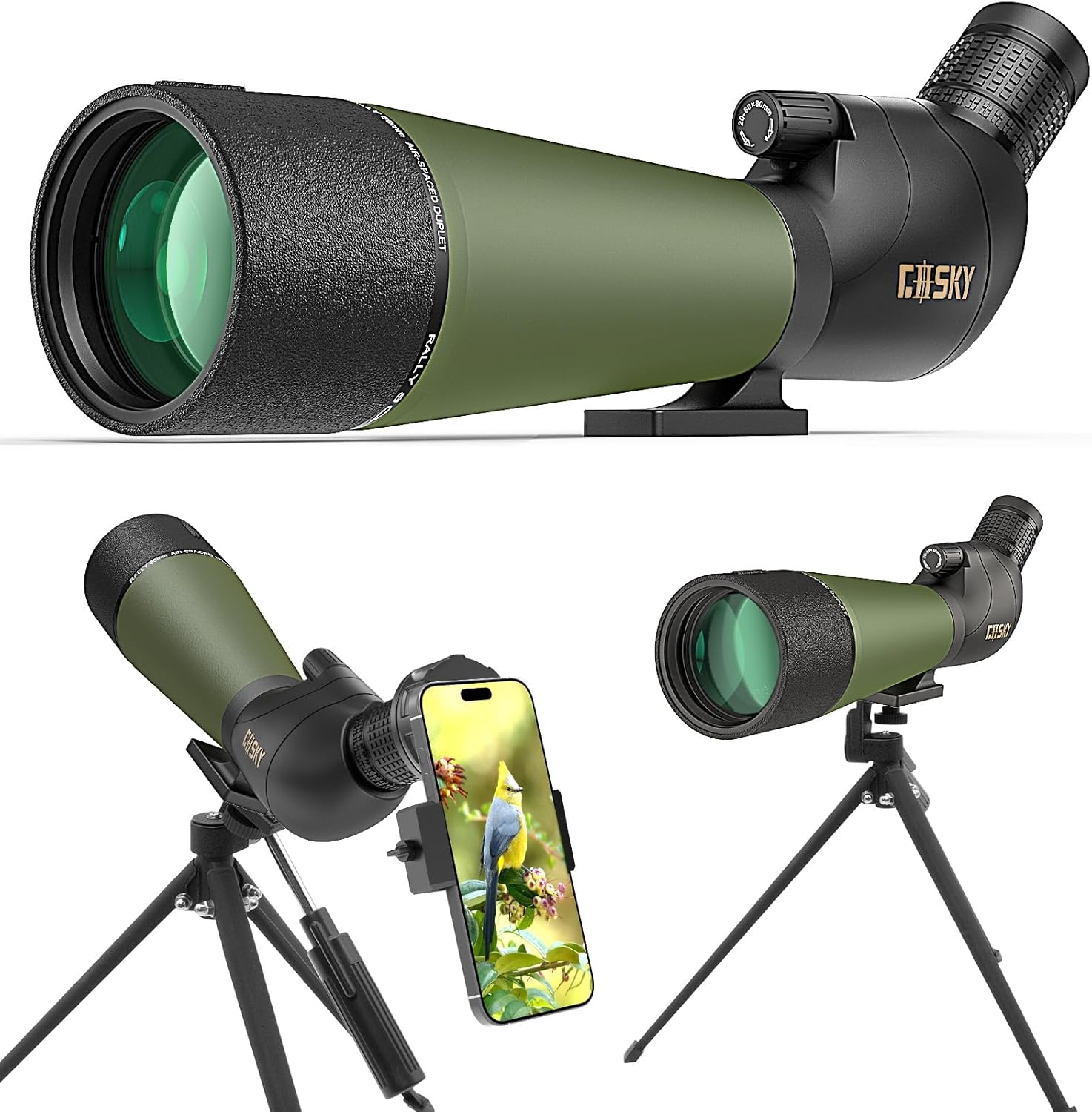 Binoculars vs Spotting Scope: Which Do You Need?