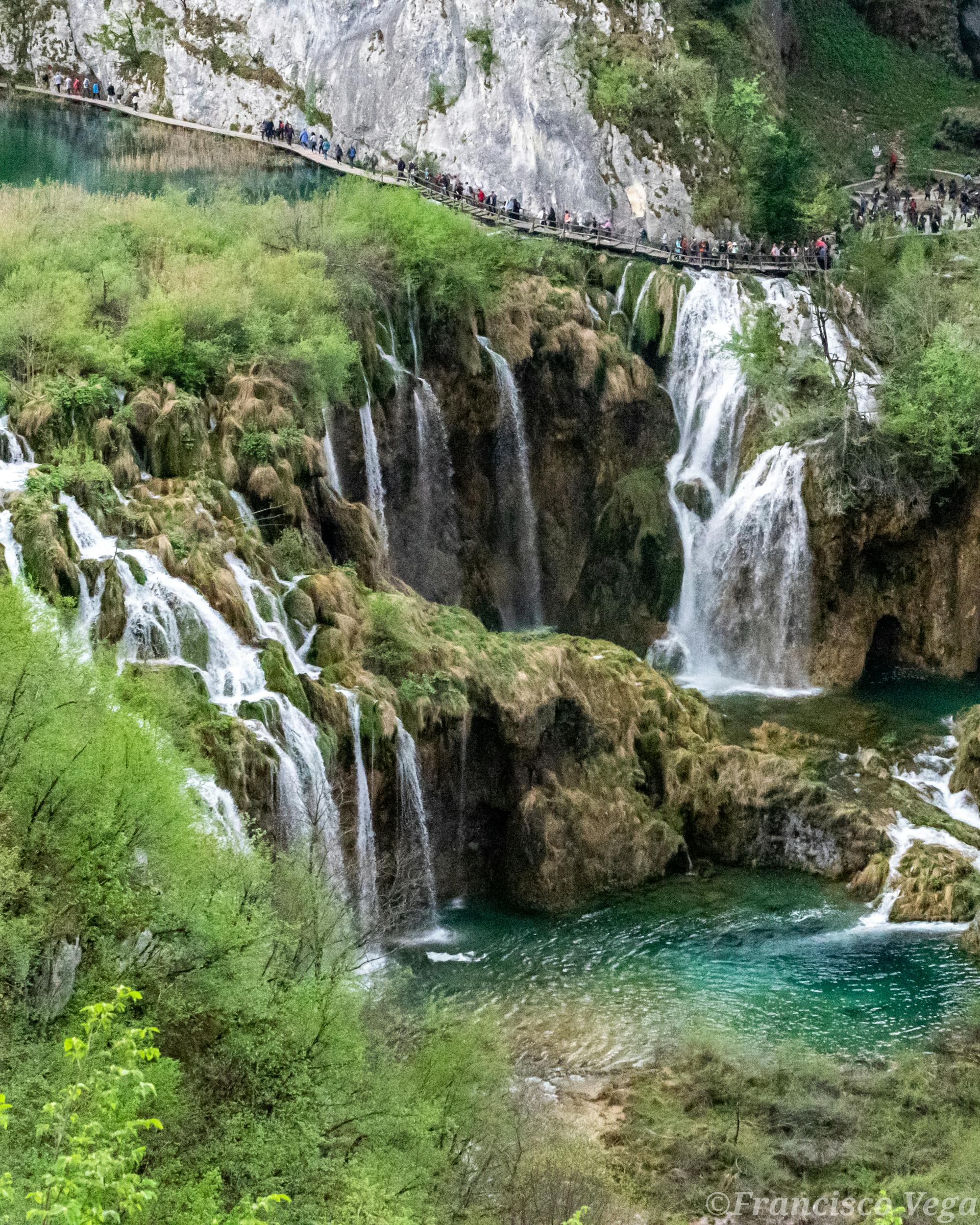 Birdwatcher with binoculars in a morning forest